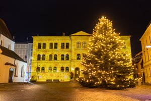 großer beleuchteter Weihnachtsbaum vor dem beleuchteten Haus der Begegnung