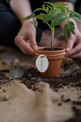 vhs-Veranstaltung: Pflanzen- Unsere Verbündeten Gärtner-Kunde-Kurs