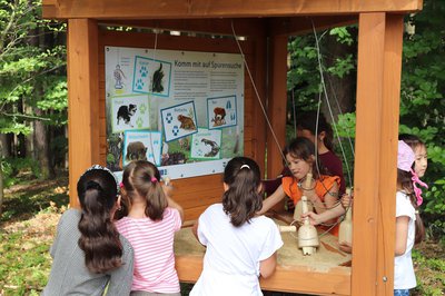 Kinder an einer Infostation mit Tierspuren auf dem Naturlehrpfad