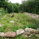 Natürlicher Klima- und Artenschutz im InterKulturGarten:
Der InterKulturGarten Pfaffenhofen an der Ilm ist reich an verschiedenen Lebensräumen wie Baum, Lesesteine, Trockenmauer, Todholz und Sandarium.