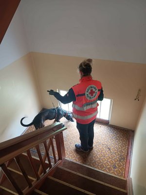 Personensuche in den Gebäuden im Beamtenviertel von der Rettungshundestaffel des BRK.