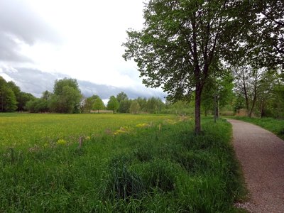 Das Gerolsbachtal soll im Sinne der Biodiversität weiterentwickelt werden.
