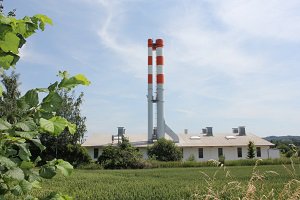 Biomasse Heizkraftwerk